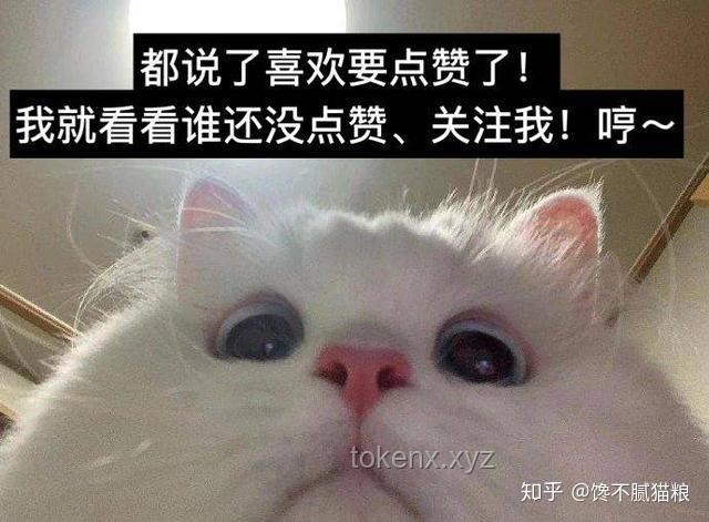 带有水质净化系统的猫猫部落瞭望塔：生态与智慧共生的创新实践